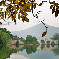 ���߱���