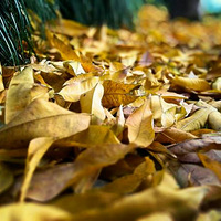 �ֻ�����