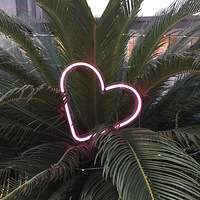 �ҵ�����