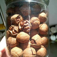 �ز�ɽ����