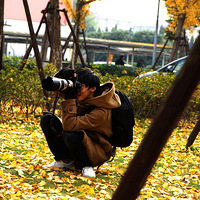 ���ӻ� ��Ҷ��