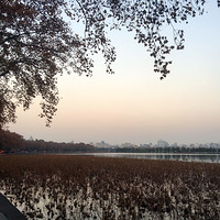 �������2017  12  10