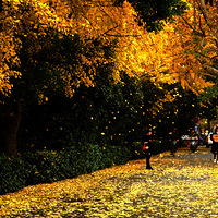 ���۹���