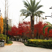 ���˺���