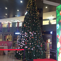 ʥ������