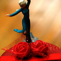 ����������֯