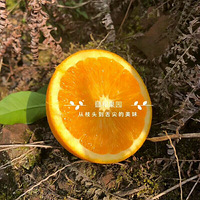 ����ʥ����VC���⣬���к�ˮ��