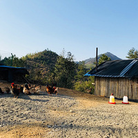 Ӫ���Ĳ���