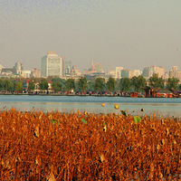 ������������