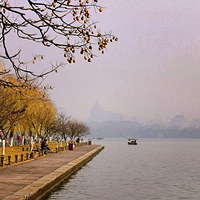 �׵�����