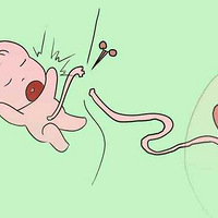 ������������ָ��