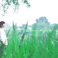 �������ĸ���д��