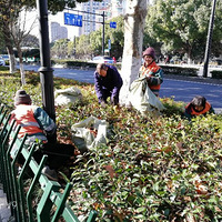 ·Ļ˼Ҷ֦ݵĻ벻ǵĹ