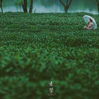 ���ݸ���д����Ӱ����Ӱ��һ�ż�����д���һ������