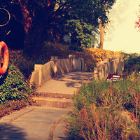 ��Ϫʪ�ع�԰