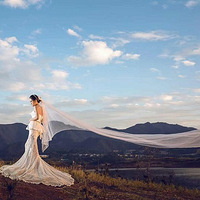 ������Ӱ�����������