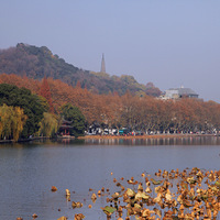 ��ɽ���غ�