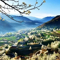 2018����һ����Լȥ���ؿ��һ�