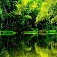 ���续