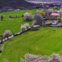 3��ȥ������֥���һ�