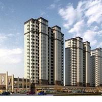 �����ơ��������ҡ� Ƥ��֮��  �Ƹ�����