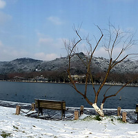 ��װ�ذ�����