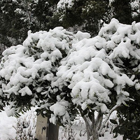 ��������--��б�۶�