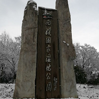 ��Ϫʪ��̤ѩ