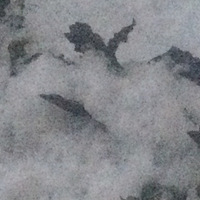 ѩ������߲�