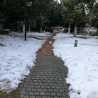 ���̫����