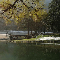 ��ѩ̫����