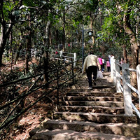 ������Ǳ��߷壬躹�