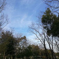 ������ƣ��������