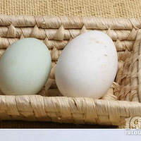 �и���ô�Զ쵰���и��Զ쵰��ʲô�ô���