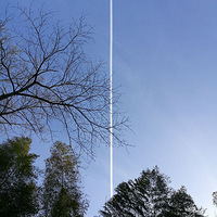 �ɻ��ɹ�����ʱ