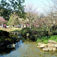 ����������  ����������