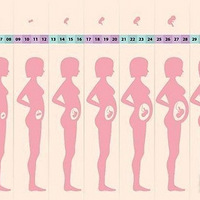 ���к󿴿���Щ��λ�ı仯�������˱�ʾ��ֱ�����ݻ����ͣ�