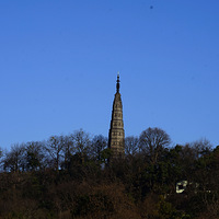 �׵�  ���ɽ