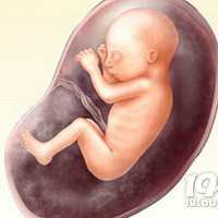 �����ɹǳ�ƫ����ô�죿һ�㱦���ɹǳ��ı�׼��ʲô��