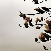 Ԫ���ڿ���!