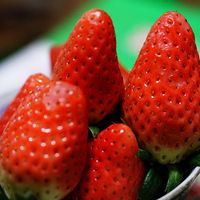 Ԫ���ڿ���