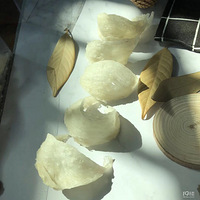 ������������С��鿴����Ŷ��