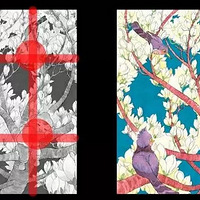 �����߿������γ̣�һ����ͼ