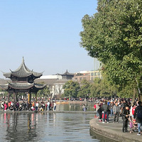 ���ֵ�����