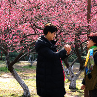 ����һȦ��