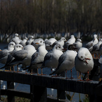 ��������֮�ã����� . . . . . .��