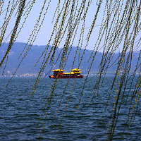 ����������