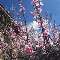 3��24�Ż�31�Ŵ����������Σ����㹲���һ���