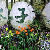 ������ٻ���