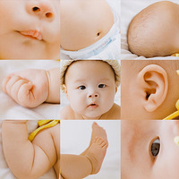 �����򱦱�